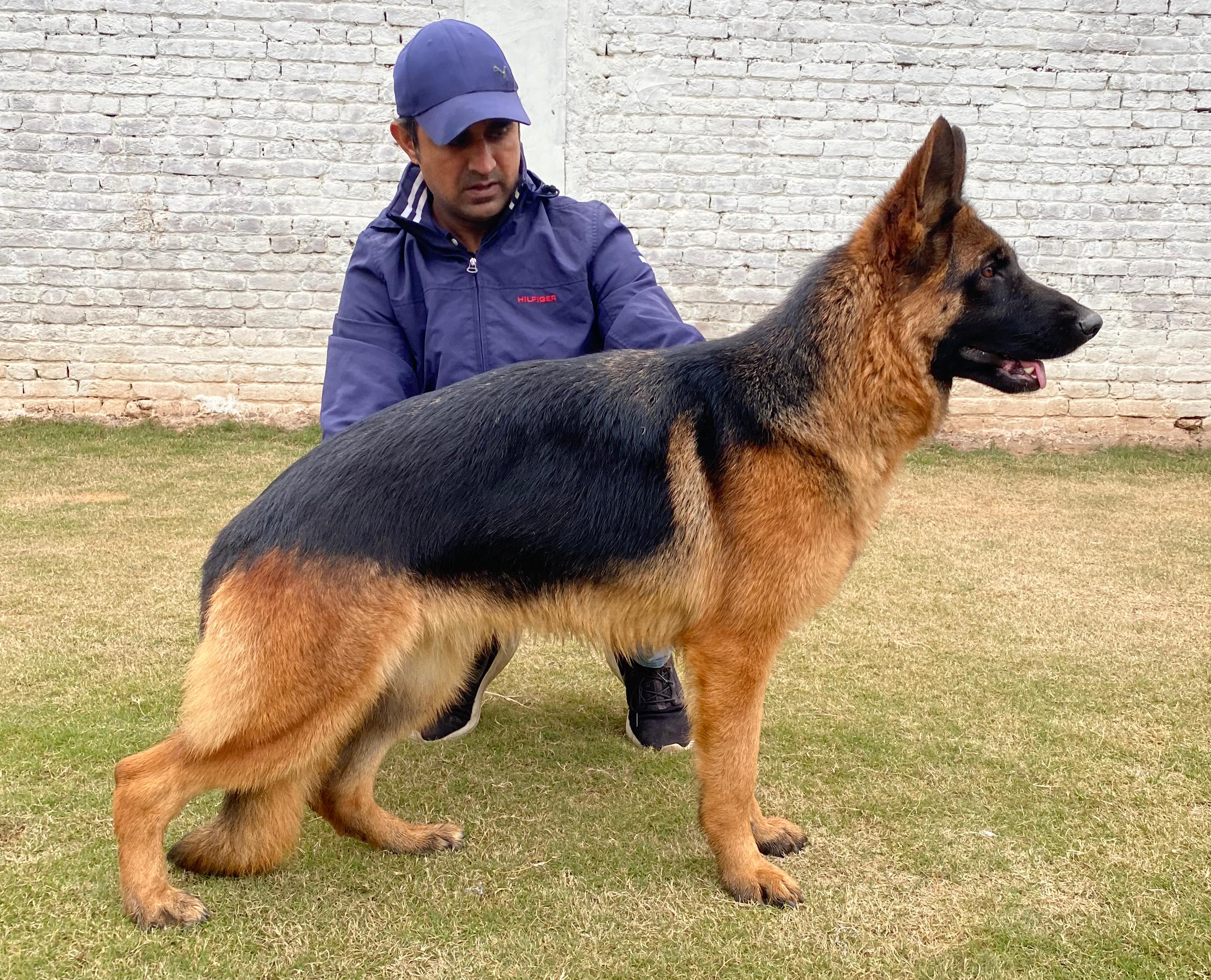 Felicita di Casa Blackrunner