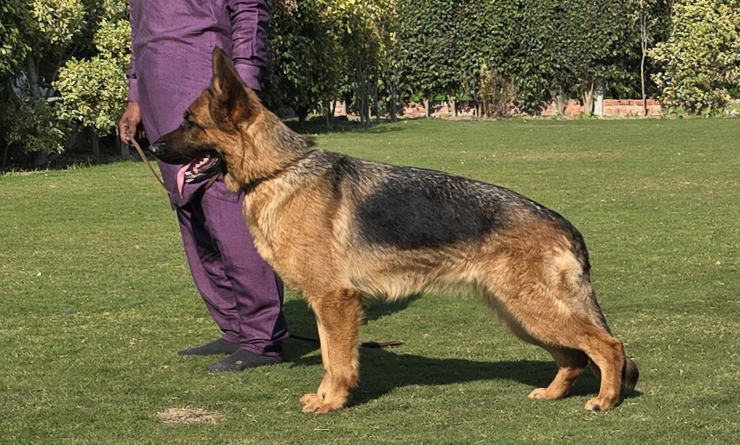 Alaska vom Kikisland