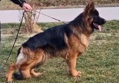 Nix vom Haus Neoplantum