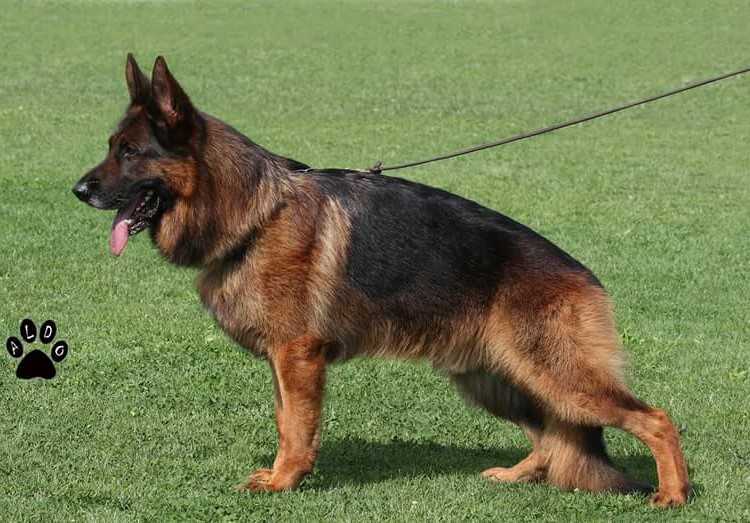 Ken von Haus Unid