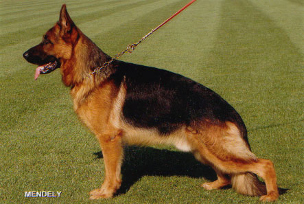 Cayos von Fidelius