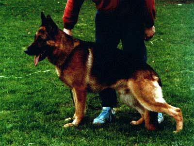 Uras vom Sendberg