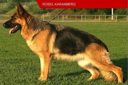 Rosel Karanberg