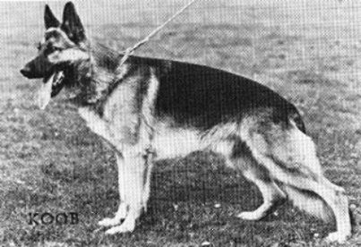 Argus von Aducht