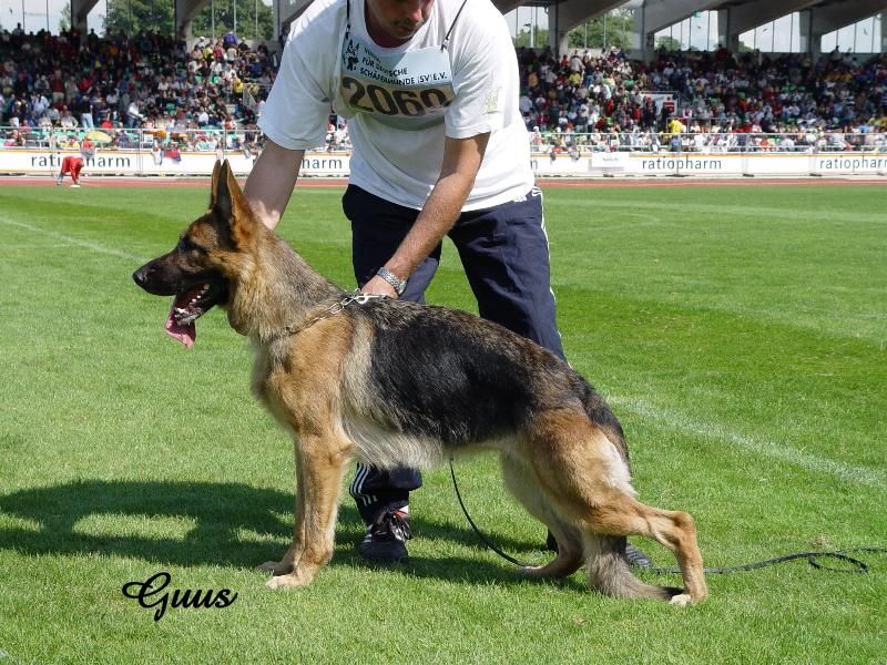 Qualli von der Flur