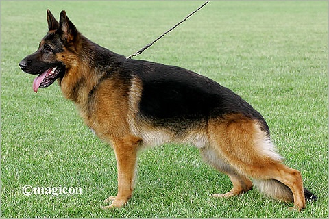 Ritmo von Arlett