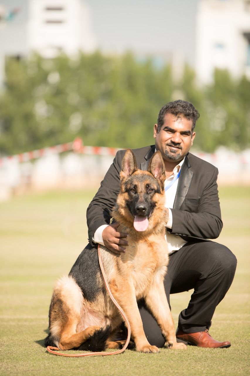 public/dog_images/11710/WhatsApp_Image_2019-12-04_at_00.00_.38_.jpeg