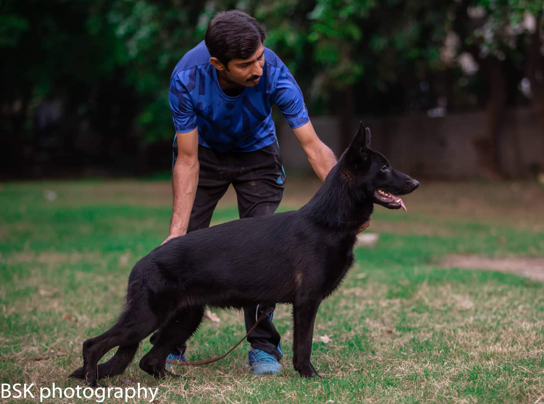 public/dog_images/11917/received_374467486558932.jpeg