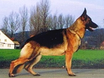 Vanta von Babylon