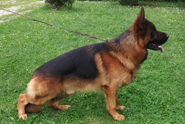 Fanto von Farhantal
