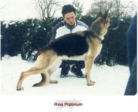 Image not found