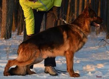 Baldrsens Thor