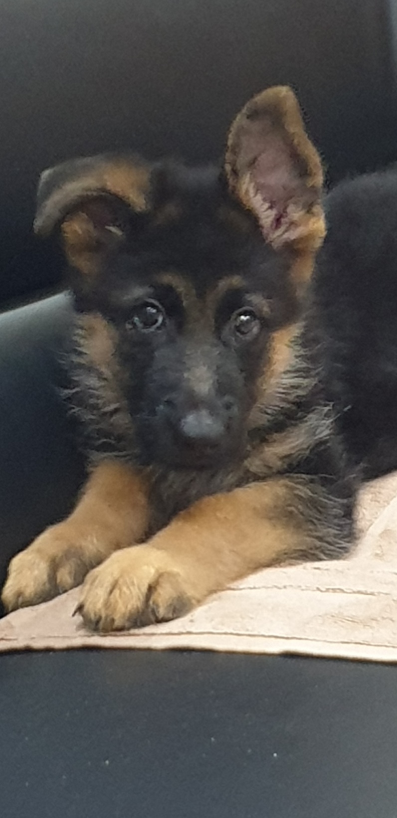 Bonnie von Team Islamabad