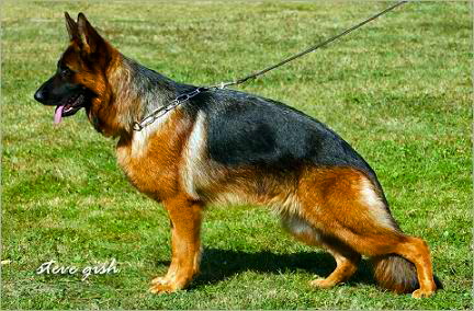 Santana von Arlett