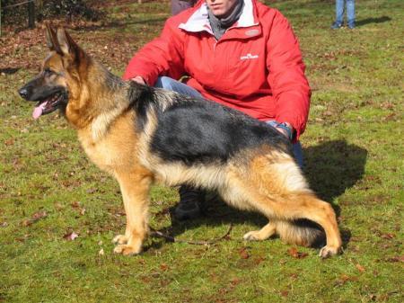 Kelly van't Groot-Fehn