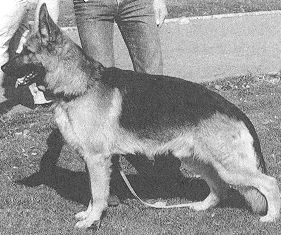 Derby von Adeloga