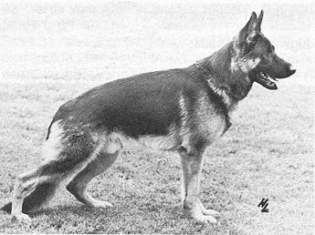 Ux von Batu