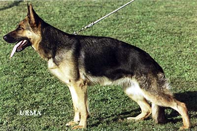 Susa von Bad-Boll
