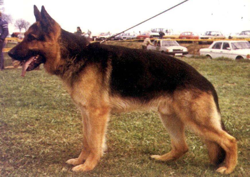 Onex von Batu