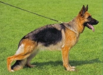 Image not found