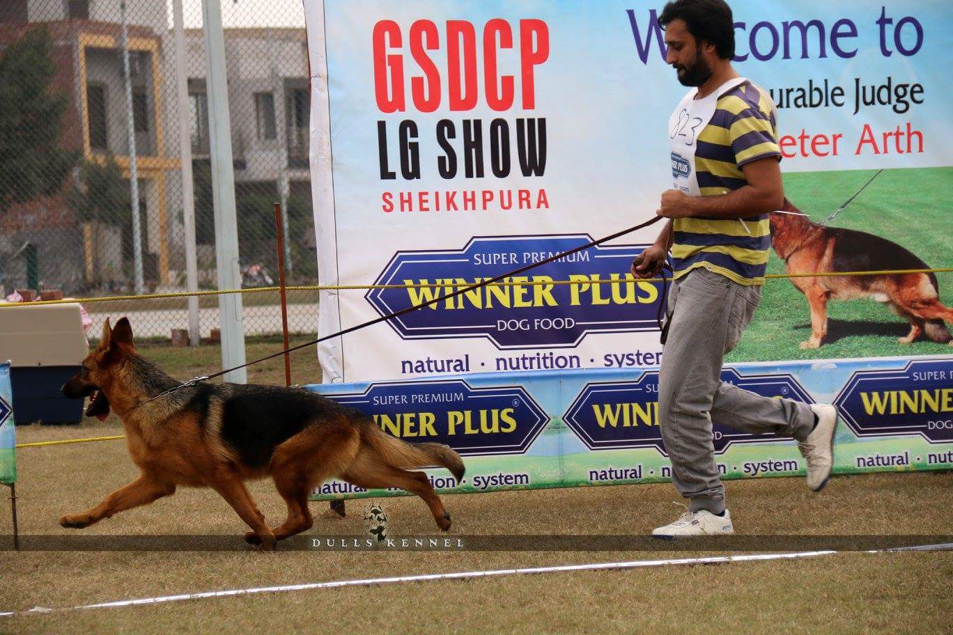public/dog_images/8272/FB_IMG_1484562300383.jpg