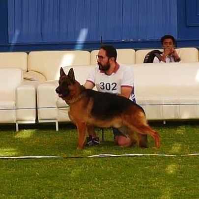 public/dog_images/8276/1775749404.photo.jpg