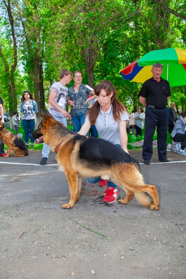public/dog_images/8998/IMG_0516.jpg