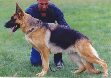Oscha von Oxsalis
