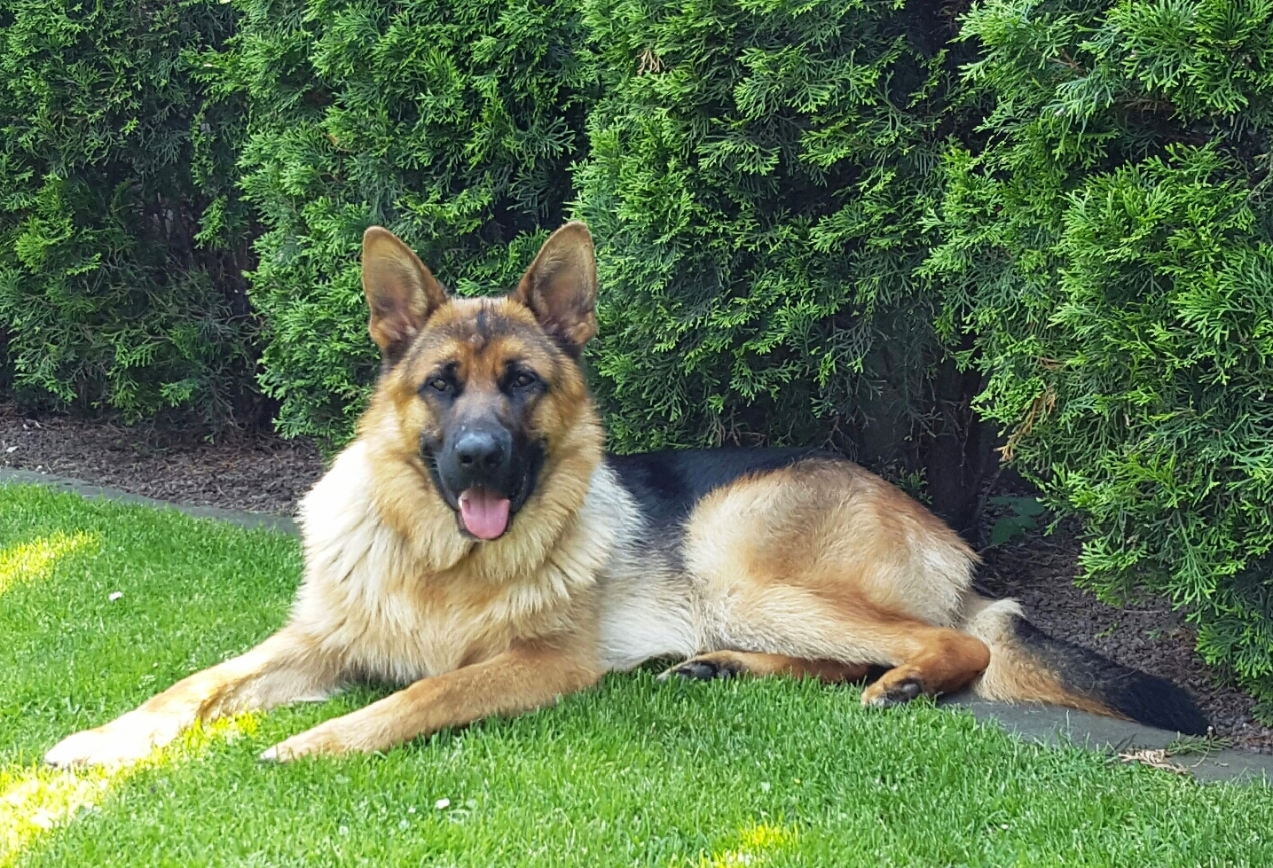 Benn aus Wattenscheid