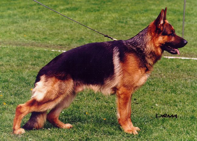 Mack von Aducht