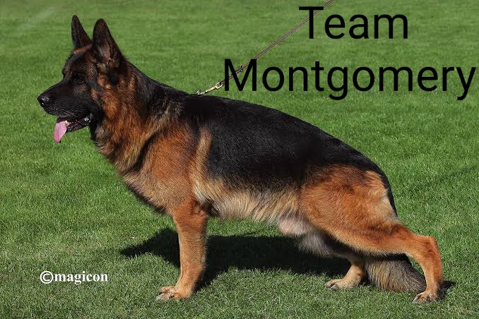 Picture of Team Montgomery 