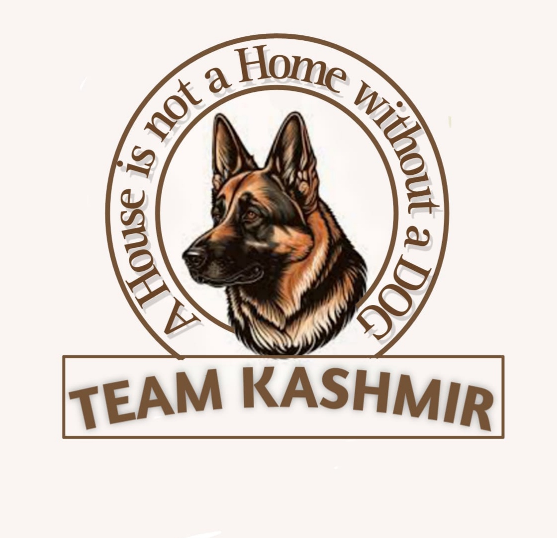 Picture of Team Kashmir 