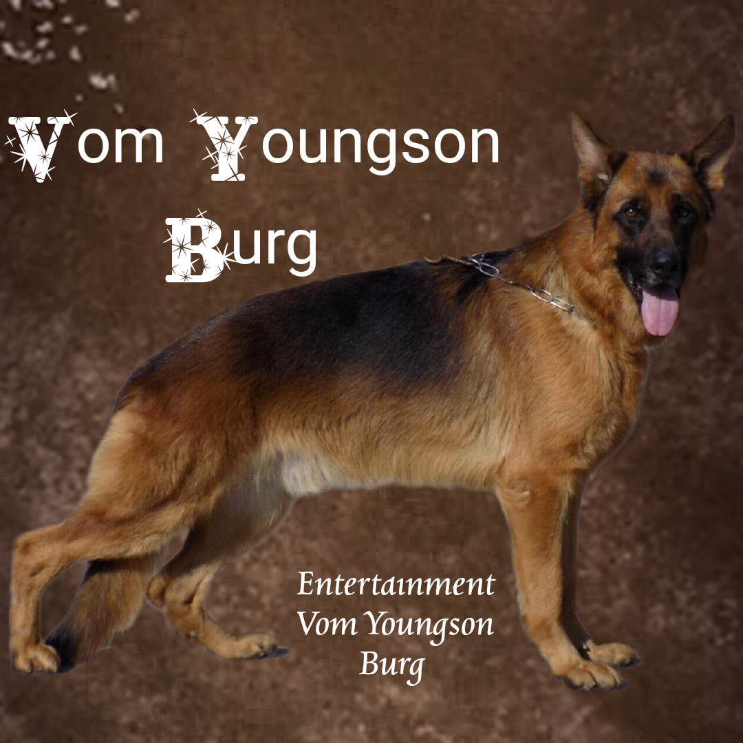 Picture of Youngson Burg 