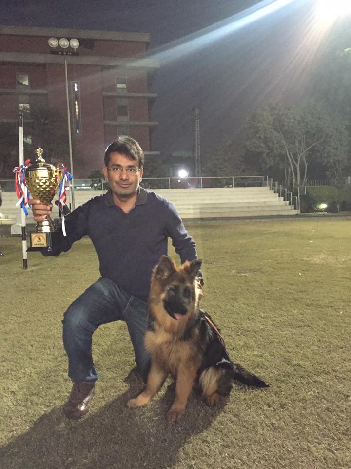 Jibran Saeed