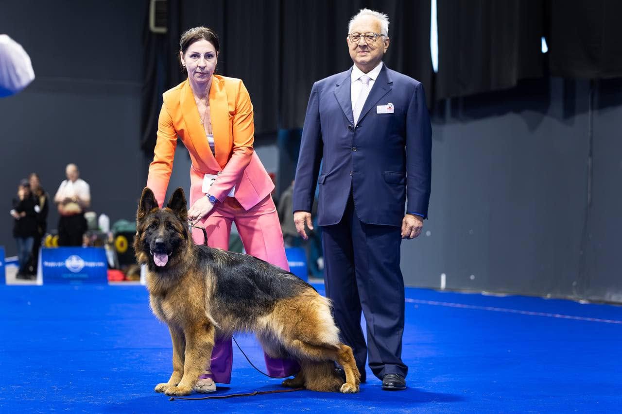 Mr. Imran Husain, President of the German Shepherd Dog Club of Pakistan